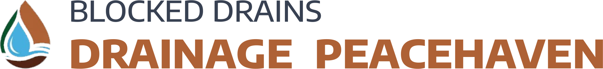 website logo